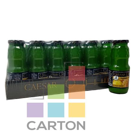 CAESAR PINEAPPLE JUICE 24*250ML
